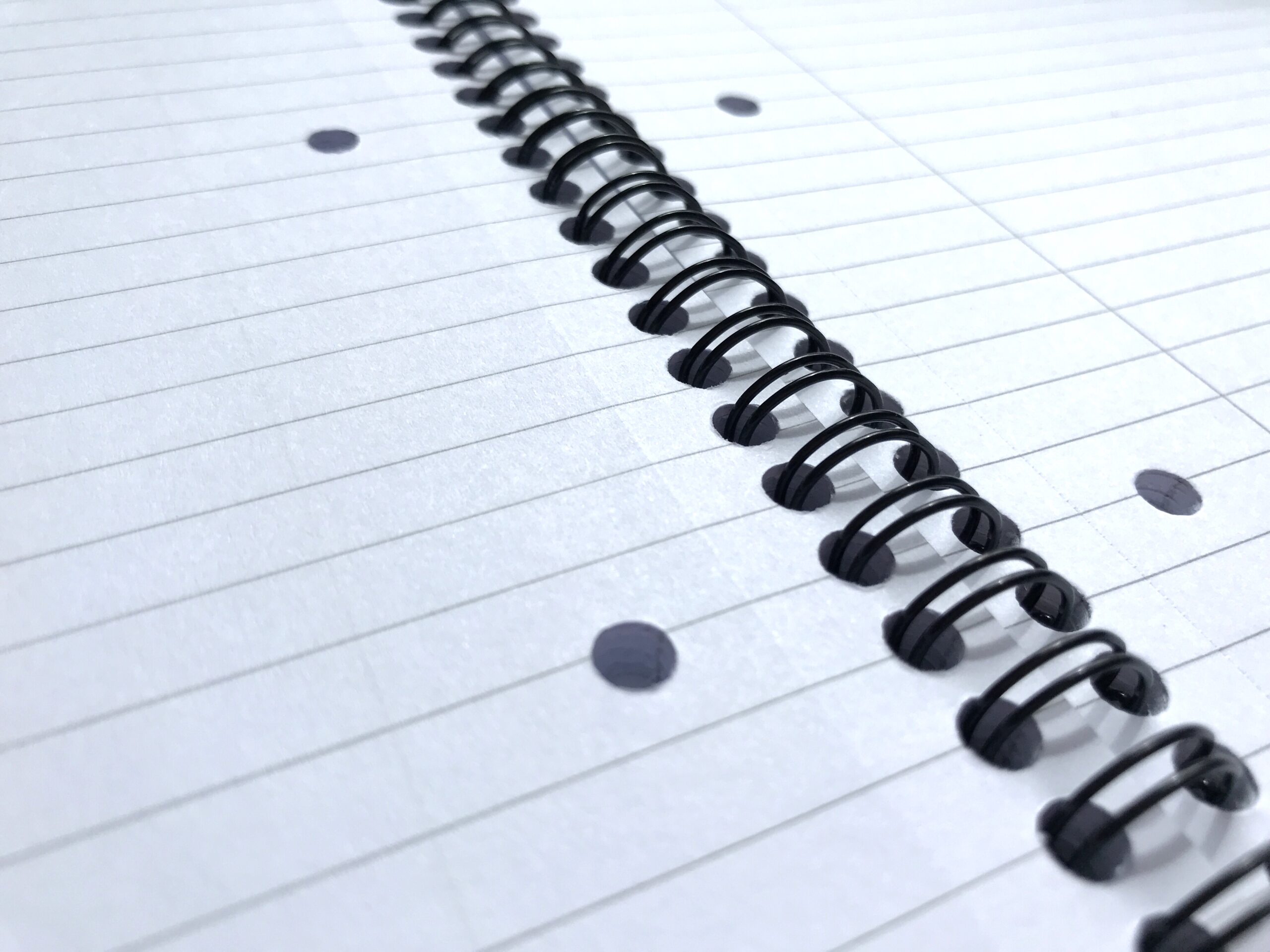 spiral-bound-notebook-with-punched-and-lined-paper-2026-03-19-23-58-44-utc